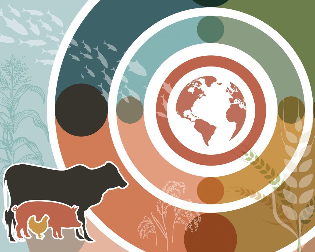 OECD–FAO Agricultural Outlook 2026–2035: Global Agricultural Growth and Emerging Challenges